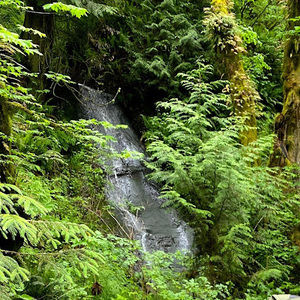 Meet your Posher, Amauri